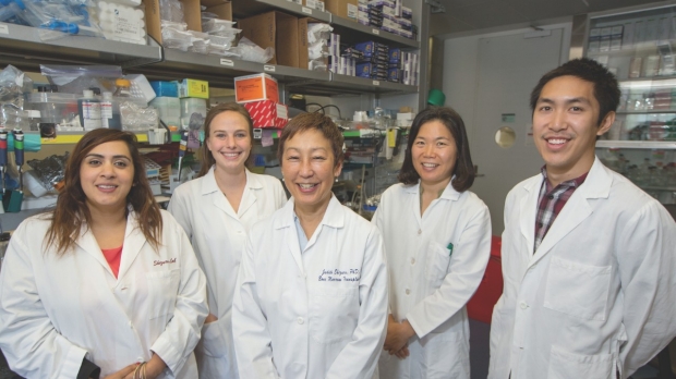 Lab team members include (from left): Akanksha Chhabra, PhD, Cassandra Burnett, Judith Shizuru, MD, PhD, Hye‑Sook Kwon, PhD, and Alan Lee